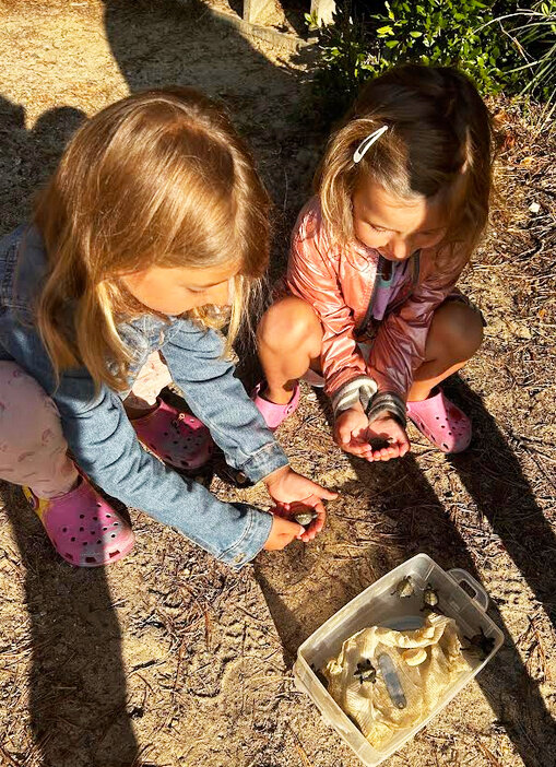 Granddaughters Ray, left, and Shirley, attend to baby diamond terrapin turtles, helping Barbara the "turtle lady" find a safe home for the turtles.